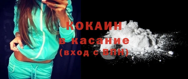 индика Саяногорск