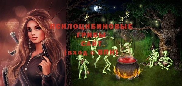 индика Саяногорск