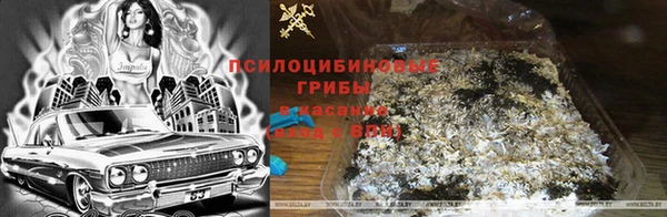 герыч Сафоново