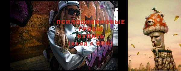 мдма Богородицк